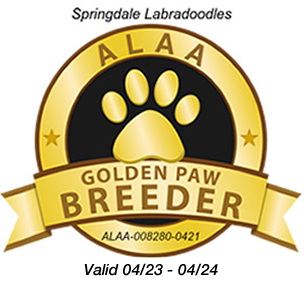 Australian Labradoodle Association of America Site Home Page