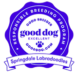 Good Dog Good Breeder of Australian Labradoodles
