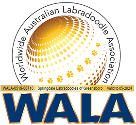 Worldwide Australian Labradoodle Association Site Home Page
